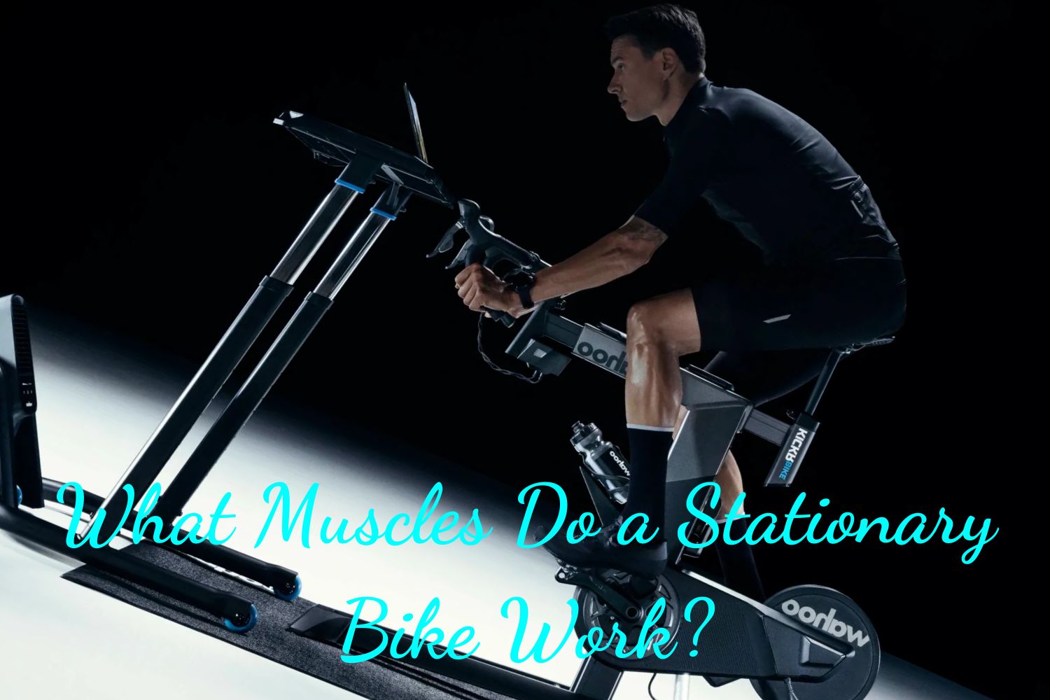 What Muscles Do a Stationary Bike Work?