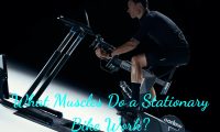 What Muscles Do a Stationary Bike Work?